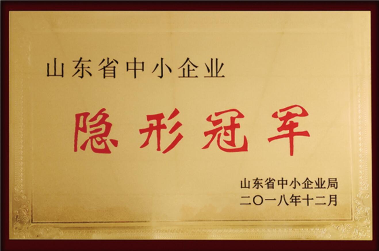 山東省中小企業(yè)隱形冠軍